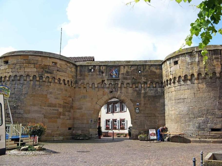 Freinsheim Altstadtアパートメント エクステリア 写真